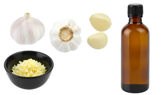 Fresh garlic ingredients ready for cooking or natural remedies, featuring whole bulbs, minced garlic, and oil.