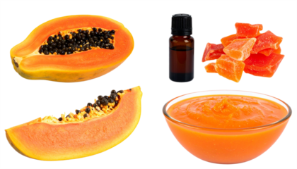 Vibrant papaya pieces, puree, and oil bottle highlight natural health and beauty ingredients for wellness.