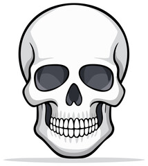 Fototapeta premium Stylized human skull illustration with bold outlines and shading cartoon graphic for Halloween or anatomy