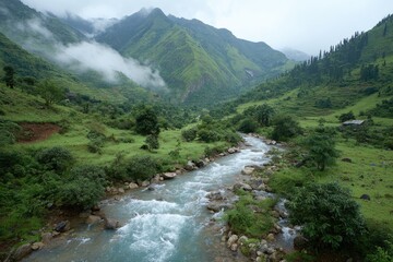 Obraz premium Lush valley with a flowing river, misty mountains