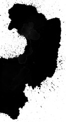 Abstract Black Ink Splash on White Background Artistic Texture Photo