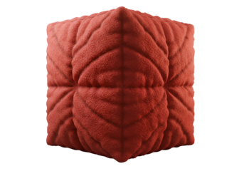 Abstract 3D Render of a Red Cube with Leaf Pattern on Transparent Background