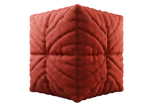 Abstract 3D Render of a Red Cube with Leaf Pattern on Transparent Background