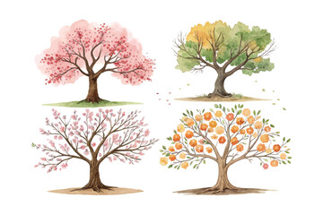Obraz premium set of watercolor apricot tree vector illustration isolated on white background