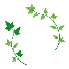 Two curved green ivy vines with leaves on a black background creating a decorative border element