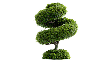 Tree shape like a spiral topical on white background 