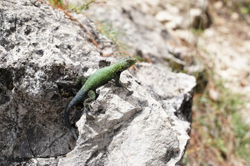 Scenery of hiking trails between Xexocom, Chuatuj and Chortiz villages near Nebaj, Quiche, Guatemala 