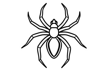 line art Spider vector silhouette illustration isolated on white background
