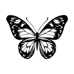 Elegant Butterfly Silhouette Vector with Intricate Wing Design vector