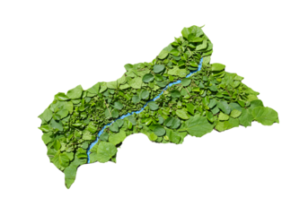 Abstract Map of Green Leaves with Blue River on Isolated Transparent Background