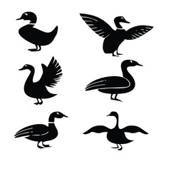 Vector set of wild ducks silhouette illustration