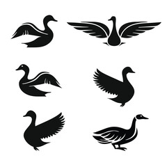 Vector set of wild ducks silhouette illustration