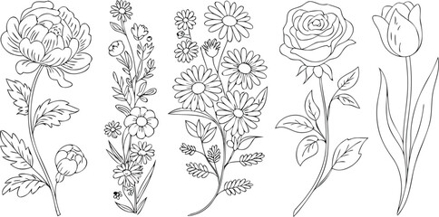Outlined Floral Assortment Peony, Daisy, Rose, and Tulip Sketches for Coloring Pages