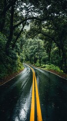 Fototapeta premium Rainy forest road winding through lush trees