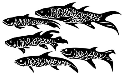  Silhouette of an Arapaima Group Patrolling the Tropical Waters