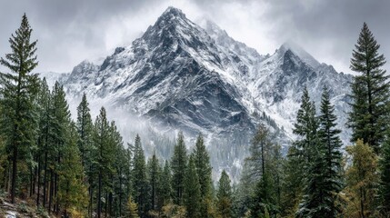 Obraz premium Snow-dusted mountain peak under overcast sky viewed through a dense forest in autumn