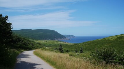 Winding road through a verdant coastal landscape under a clear blue sky