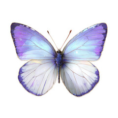 Obraz premium A delicate, light purple and white butterfly with intricate wings