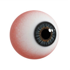 Realistic human eyeball isolated on white background PNG, anatomy closeup cutout, medical organ illustration, eye model detail, optical structure mockup, 3D rendering of eyeball, healthcare and vision