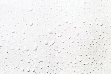 Water drops on white background, Closeup water drops on white background, water drops pattern background