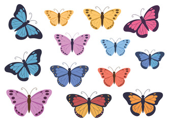 Cute and colorful butterfly illustration set