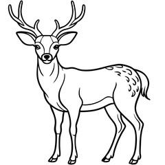 Elegant black and white drawing of a majestic stag