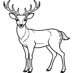 Elegant deer with majestic antlers standing proudly