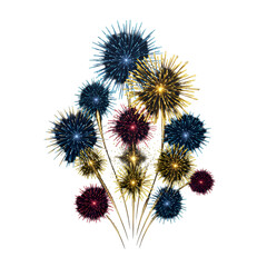 Colorful Fireworks Celebration On Black Transparent Background Illustration