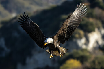 Naklejka premium Bald eagle charging through the sky with strength and speed