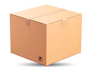 Cardboard shipping box