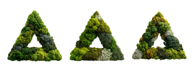 Triangular Shapes Made of Greenery on Transparent Background