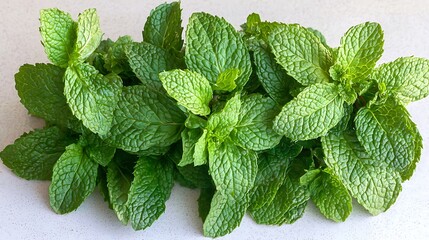 Detailed flatlay of bunch of green mint leaves arranged evenly on white surface, taken with 50mm lens, showcasing natural texture and subtle color variations
