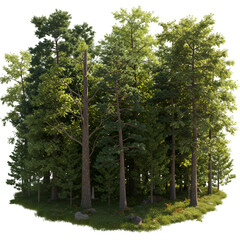 Obraz premium Illustration of a Green Forest Trees Scene Isolated On Transparent Background