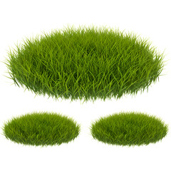 Green Grass Clumps with Bright Sunlight and Isolated on White Background Photo