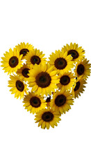 Heart-Shaped Arrangement of Sunflowers on Transparent Background