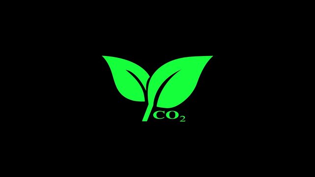 Tree leaves icon animation on black background. plant leaf tree leaves flying on wind motion graphics. tree leaves icon symbol CO2 4k video footage.