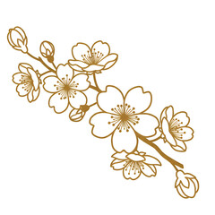 Elegant Gold And White Floral Illustration On Transparent Background