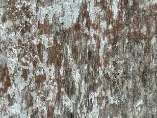 Closeup of aged wooden surface with deep cracks and rough texture. Weathered cracked wood texture top view with dark grain. Old tree wood texture rotting background.