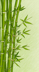 Obraz premium Illustration Of Green Bamboo Stems And Leaves On Greenish Background