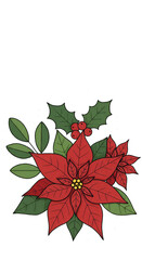 Obraz premium Festive Poinsettia Illustration On Transparent Background For Christmas