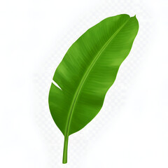 Obraz premium Isolated Green Banana Leaf Illustration on Transparent Background