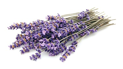 Close-up of dried lavender bunch with visible tiny flowers and stems, 50mm lens capture emphasizing soft texture and natural color contrast on white backdrop