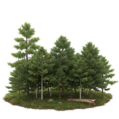 Isolated Forest Trees On Green Grass Island Realistic Illustration