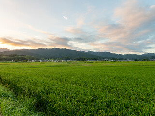 朝焼けの空と明日香村の田園風景
