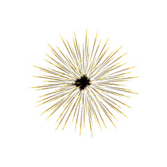 Fototapeta premium Golden Firework Burst Isolated on Black Transparent Background Illustration