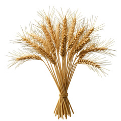Fototapeta premium Isolated Illustration Of A Bundle Of Golden Wheat Ears On Transparent Background
