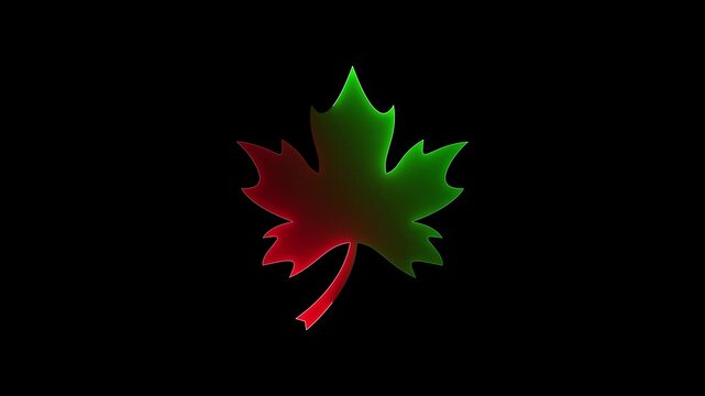 Neon maple leaf icon animation. Glowing Canadian symbol motion graphics. Modern Canadian symbol 4k video footage.