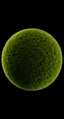 Isolated Green Sphere on Black Background Detailed Macro Photo