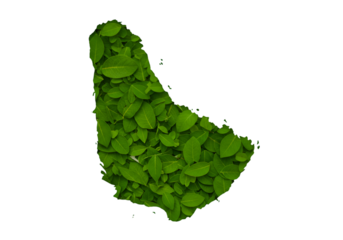 Green Leaf Map of Barbados Isolated on Transparent Background Illustration