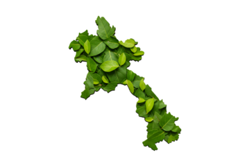 Green Leafy Laos Map Illustration Isolated on Transparent Background